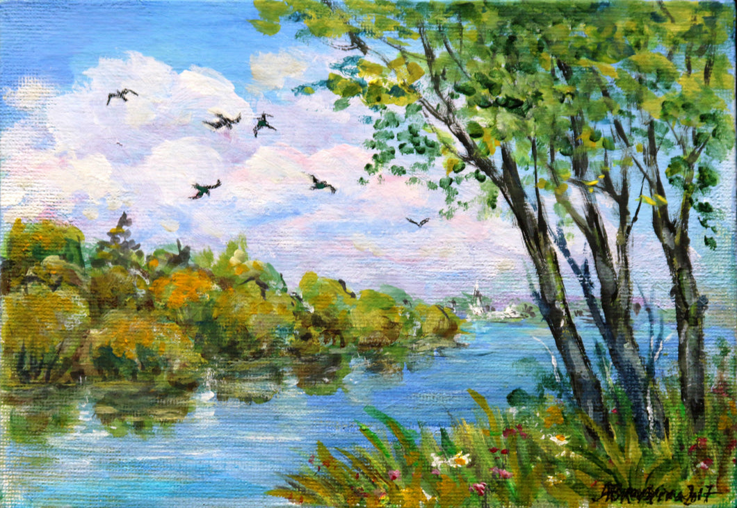 Summer rivers and birds